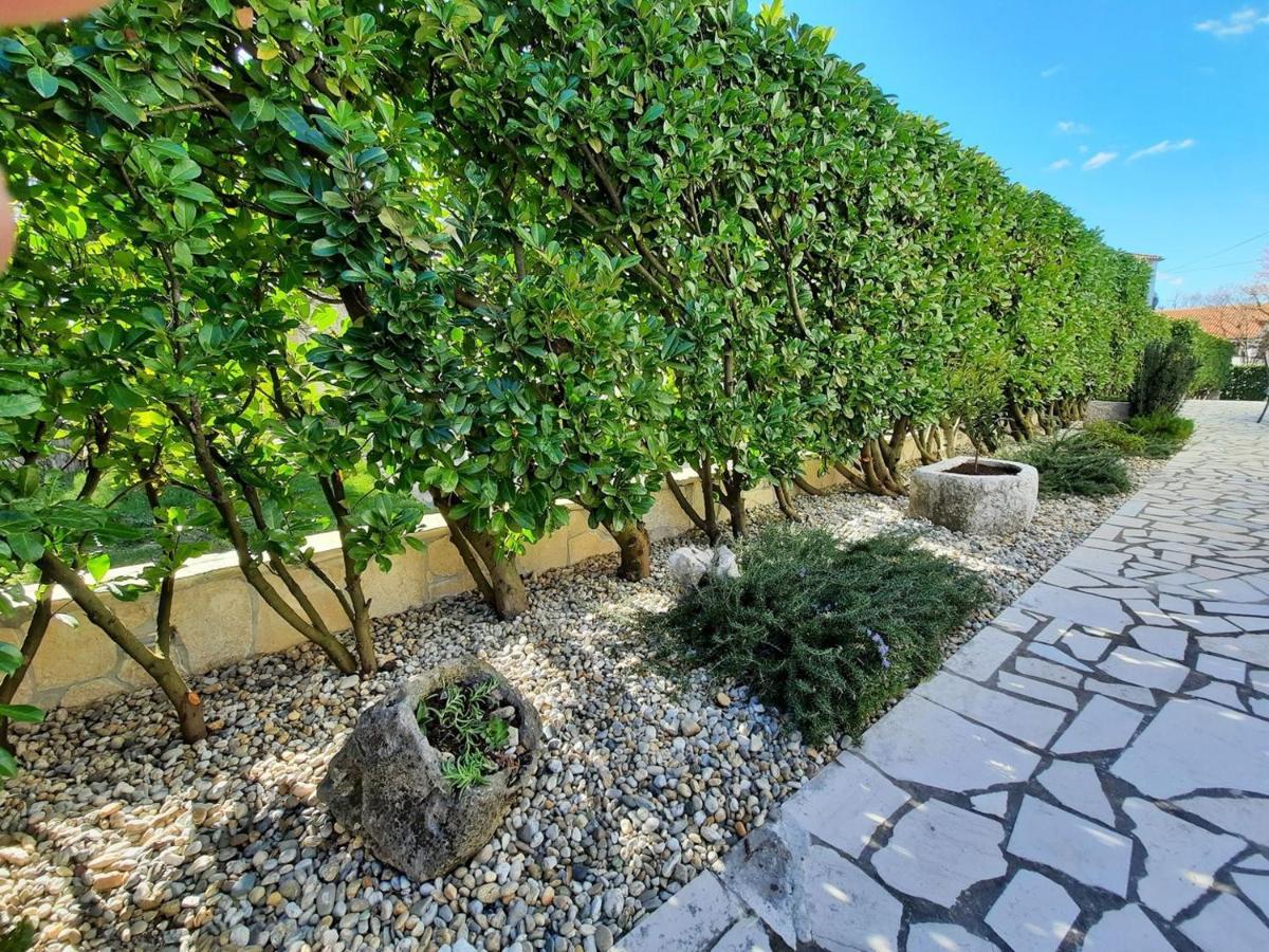 Apartments Adrijana Малинська Екстер'єр фото